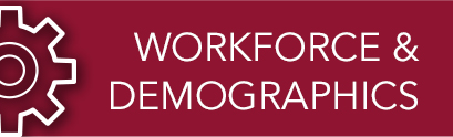 Workforce Demographics